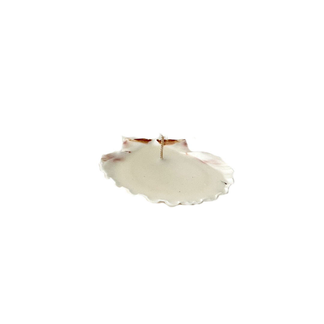 Palma Shell Candle Wax Refill