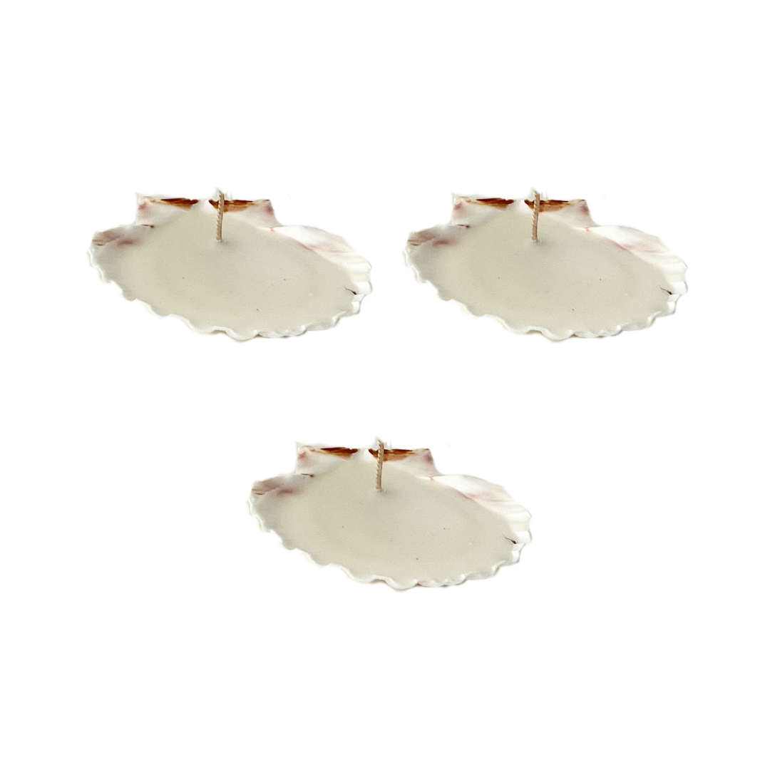 Palma Shell Candle Wax Refill