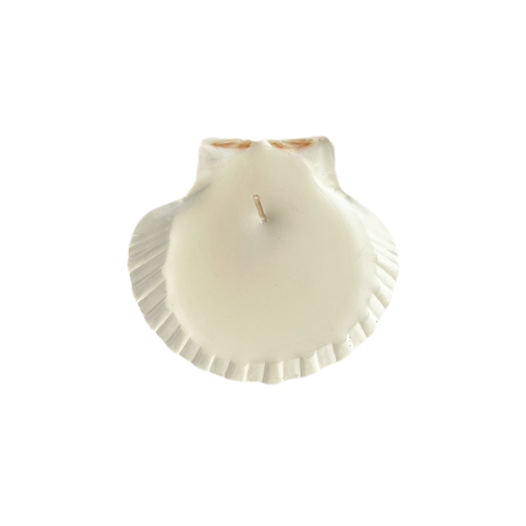 Palma Shell Candle