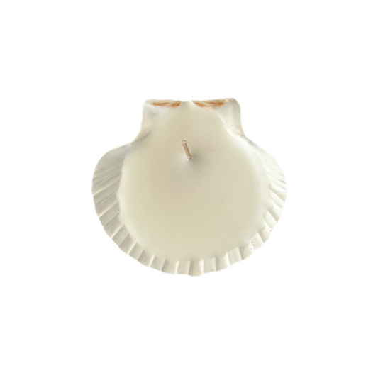 Palma Shell Candle Wax Refill